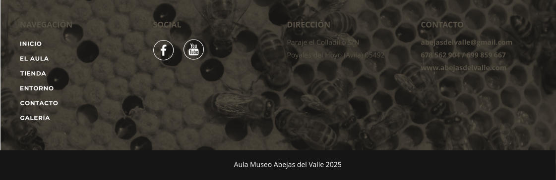 INICIO RECIPES CONTACTO NAVEGACIN SOCIAL DIRECCIN Paraje el Colladillo S/N Poyales del Hoyo (vila) 05492 CONTACTO abejasdelvalle@gmail.com 678 562 904 / 699 859 667 www.abejasdelvalle.com		 Aula Museo Abejas del Valle 2025   INICIO EL AULA TIENDA ENTORNO CONTACTO GALERA