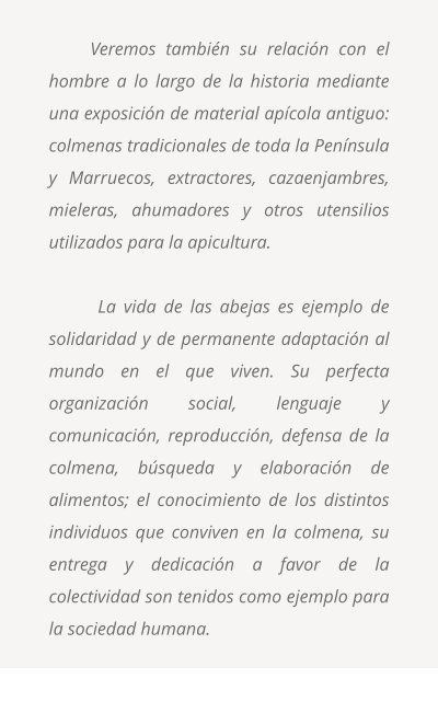 Veremos también su relación con el hombre a lo largo de la historia mediante una exposición de material apícola antiguo: colmenas tradicionales de toda la Península y Marruecos, extractores, cazaenjambres, mieleras, ahumadores y otros utensilios utilizados para la apicultura.   La vida de las abejas es ejemplo de solidaridad y de permanente adaptación al mundo en el que viven. Su perfecta organización social, lenguaje y comunicación, reproducción, defensa de la colmena, búsqueda y elaboración de alimentos; el conocimiento de los distintos individuos que conviven en la colmena, su entrega y dedicación a favor de la colectividad son tenidos como ejemplo para la sociedad humana.