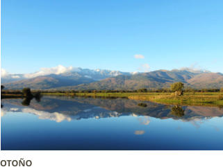 OTOÑO