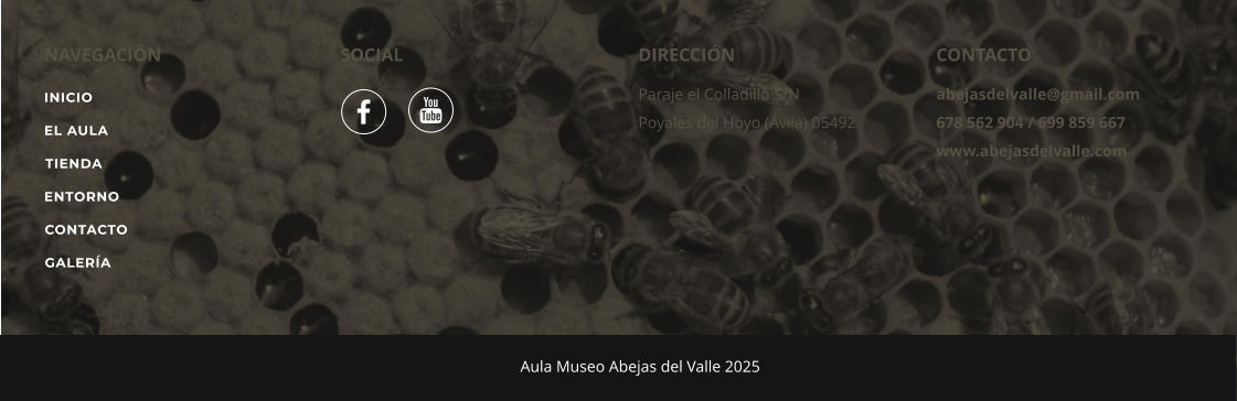 INICIO RECIPES CONTACTO NAVEGACIÓN SOCIAL DIRECCIÓN Paraje el Colladillo S/N Poyales del Hoyo (Ávila) 05492 CONTACTO abejasdelvalle@gmail.com 678 562 904 / 699 859 667 www.abejasdelvalle.com		 Aula Museo Abejas del Valle 2025   INICIO EL AULA TIENDA ENTORNO CONTACTO GALERÍA